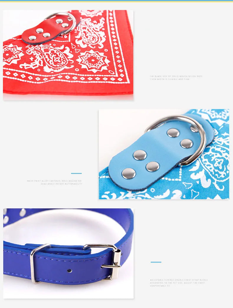 Hundhalsband med scarf