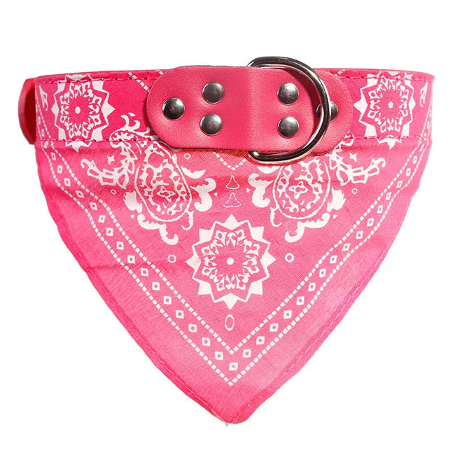 Hundhalsband med scarf