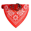 Hundhalsband med scarf