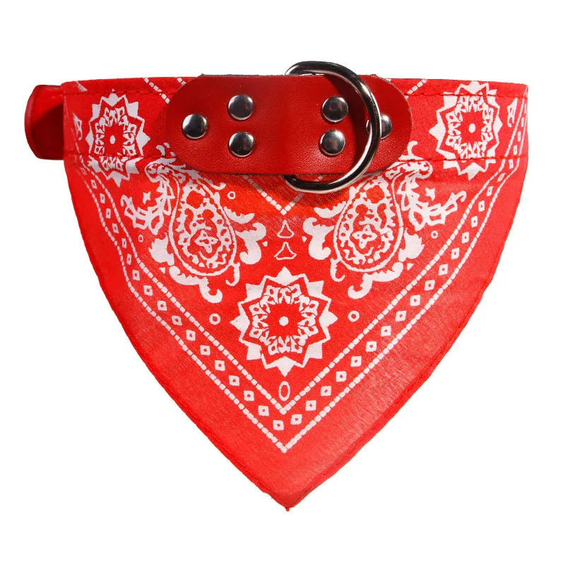 Hundhalsband med scarf