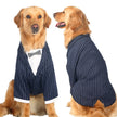 Kostym med fluga för stor hund