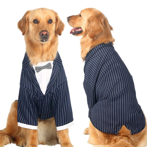 Kostym med fluga för stor hund