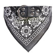 Hundhalsband med scarf