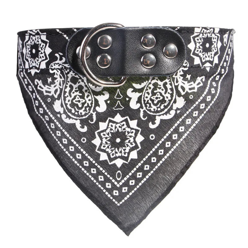 Hundhalsband med scarf