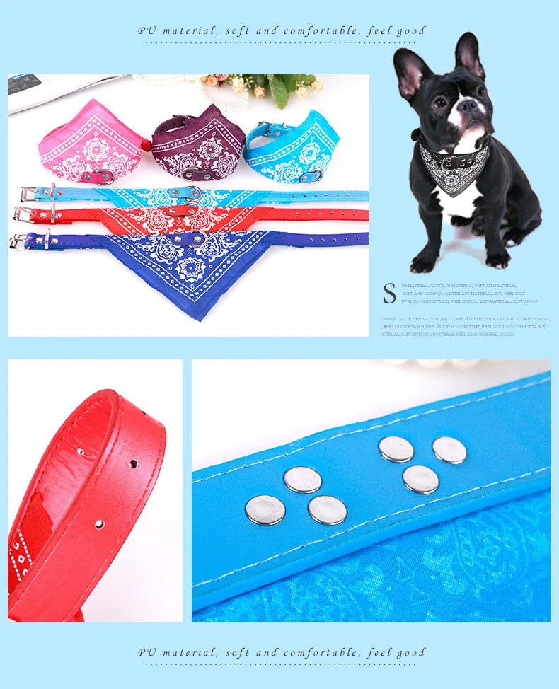 Hundhalsband med scarf
