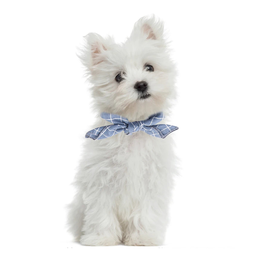 Scarf för liten hund