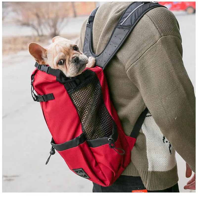 Ryggsäck för hund