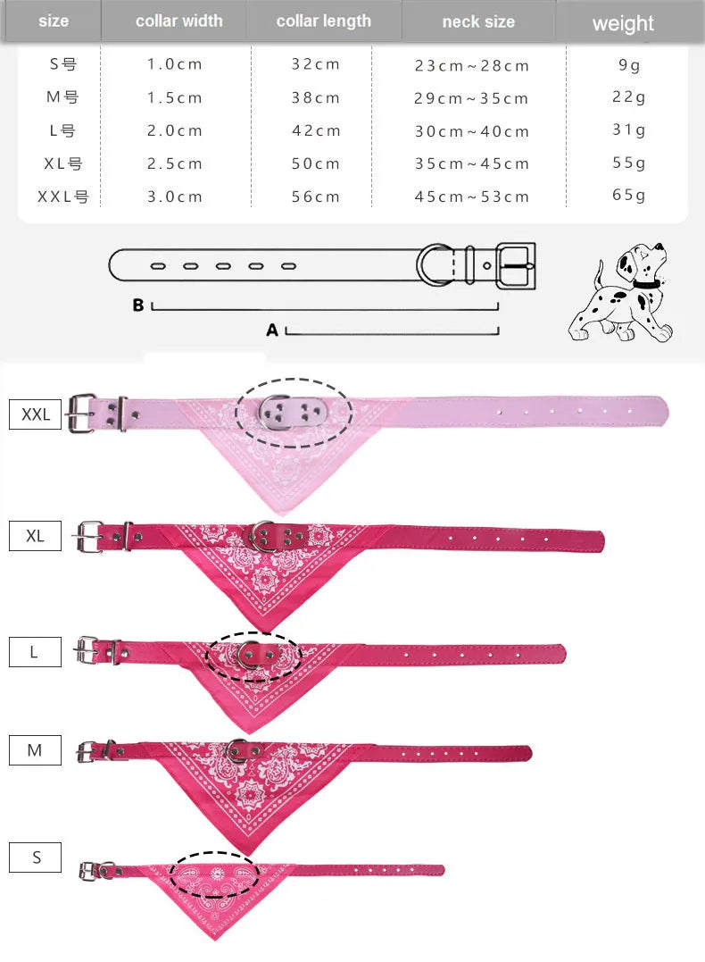 Hundhalsband med scarf