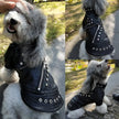 Hundjacka i skinnimitation