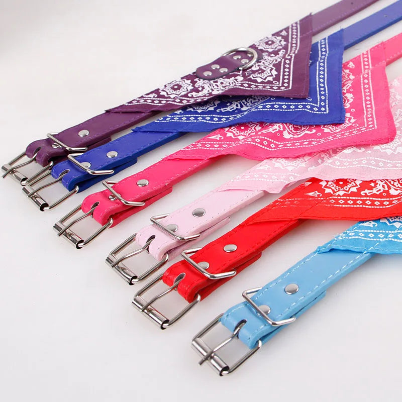 Hundhalsband med scarf