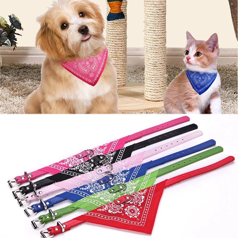 Hundhalsband med scarf