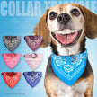 Hundhalsband med scarf