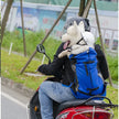 Ryggsäck för hund