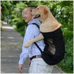 Ryggsäck för hund