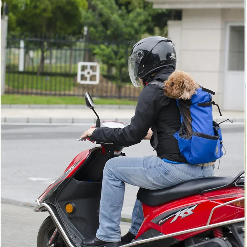 Ryggsäck för hund