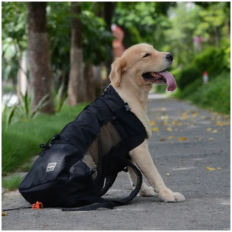 Ryggsäck för hund