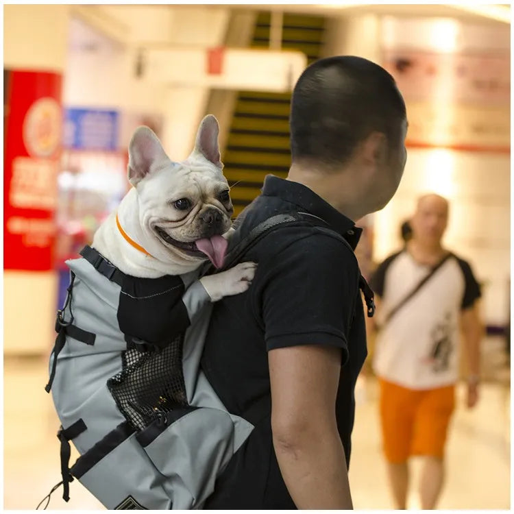 Ryggsäck för hund