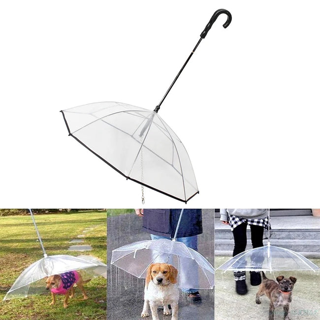 Paraply för hund