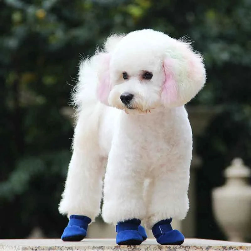 Varmfodrade hundskor