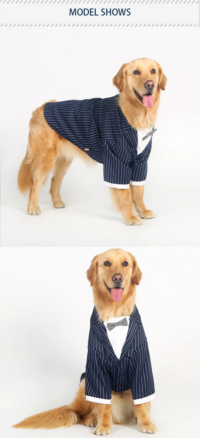 Kostym med fluga för stor hund