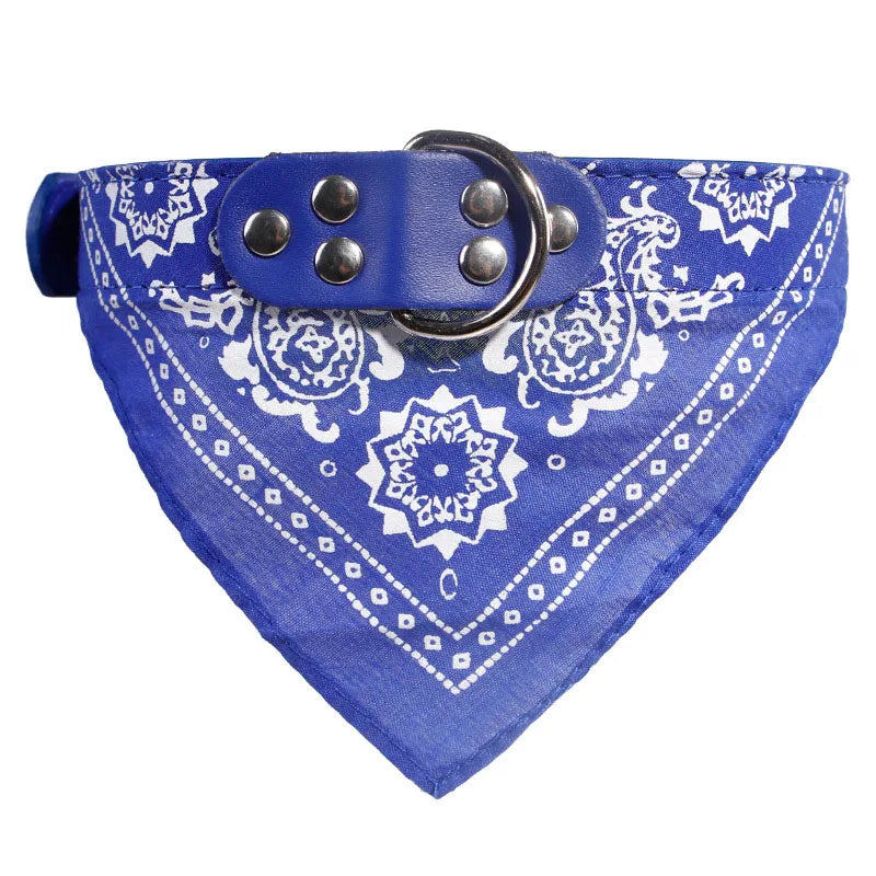 Hundhalsband med scarf