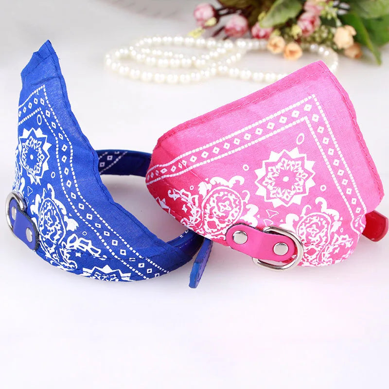 Hundhalsband med scarf