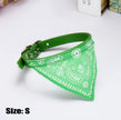 Hundhalsband med scarf