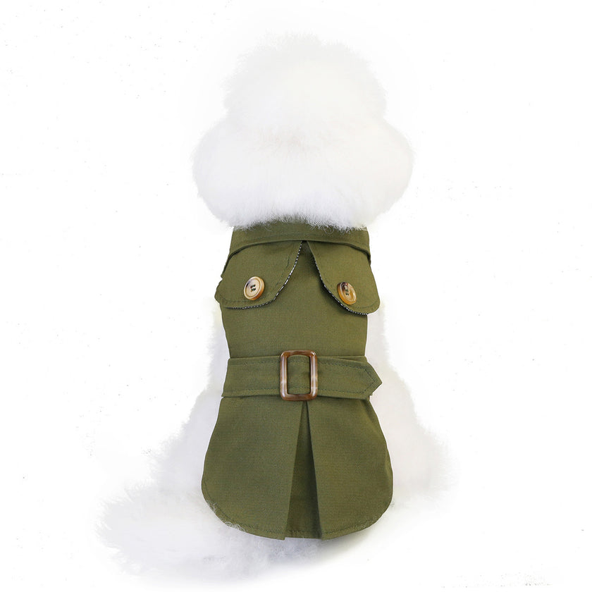 Trenchcoat för hund