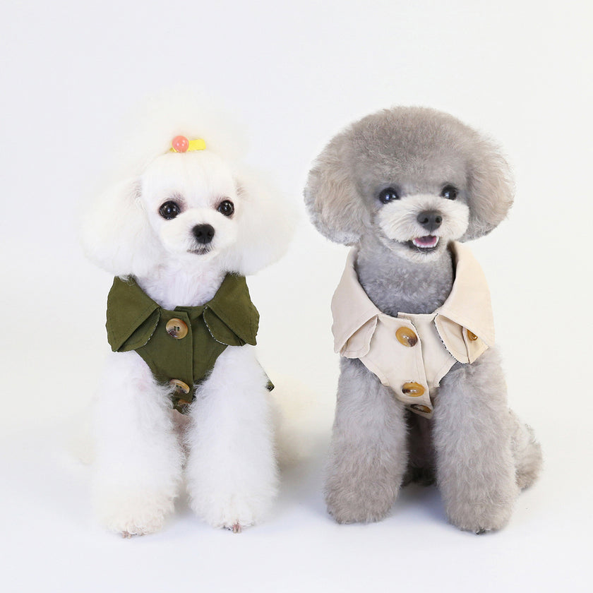 Trenchcoat för hund