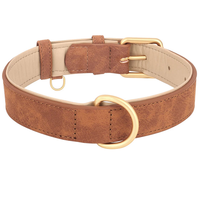 Hundhalsband