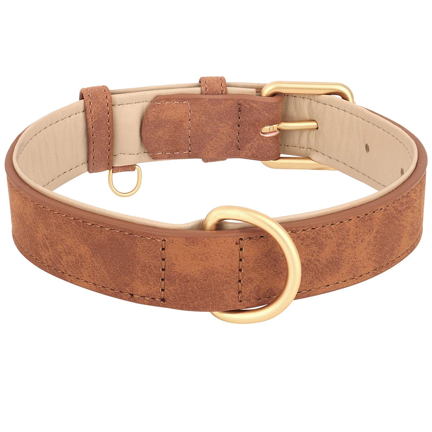 Hundhalsband