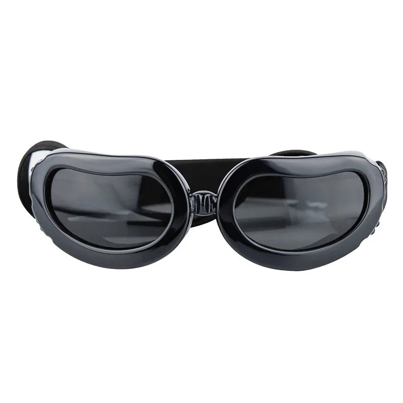 Goggles för hund