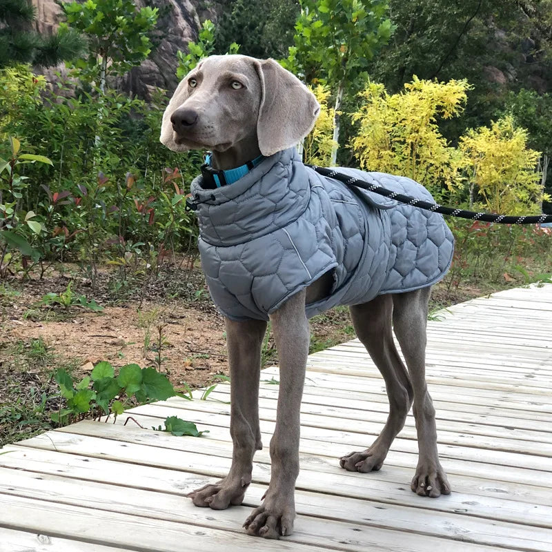 Täckjacka för hund
