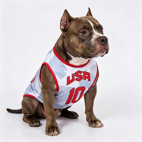 Baskettröja för hund
