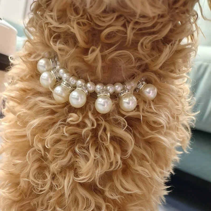 Pärlhalsband för hund