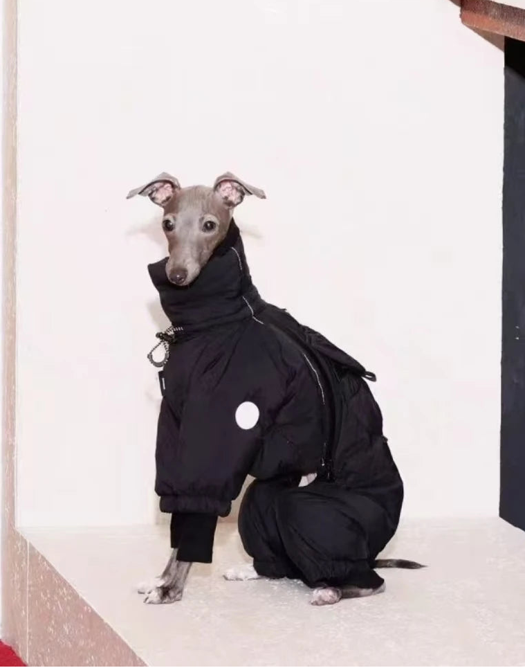 Vinteroverall för hund