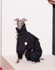 Vinteroverall för hund