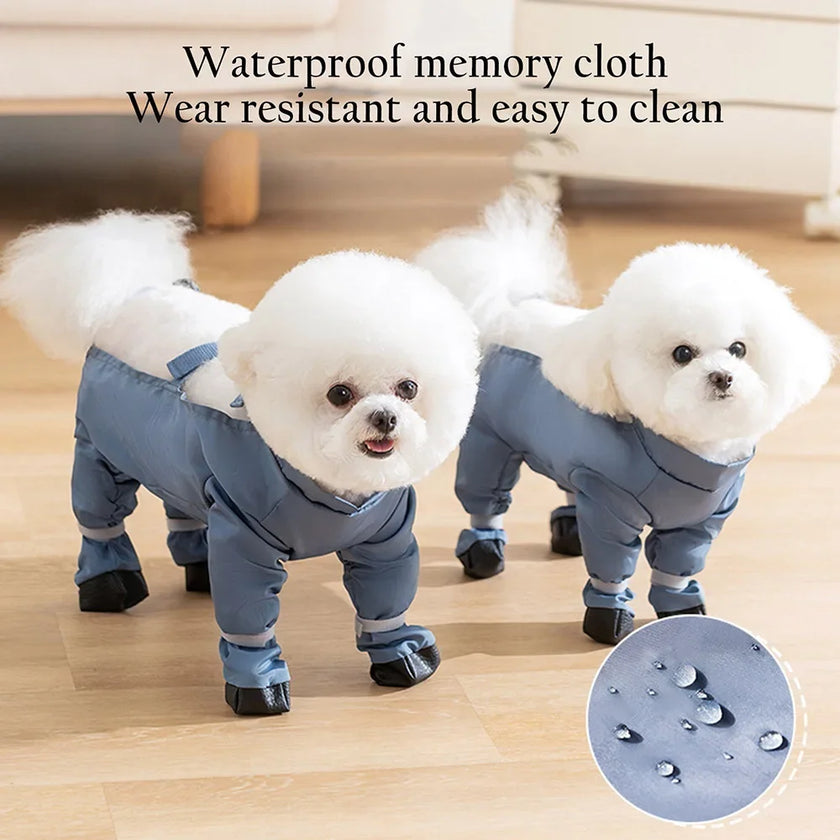 Överdragsbyxor för hund