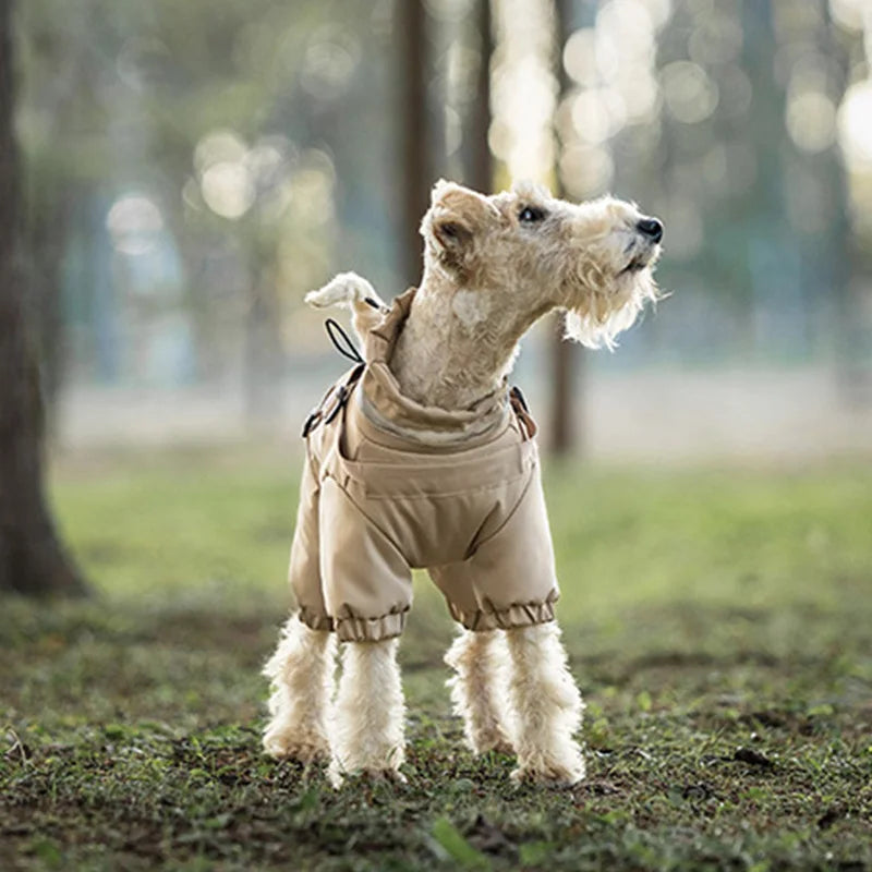 Overall med sele för hund
