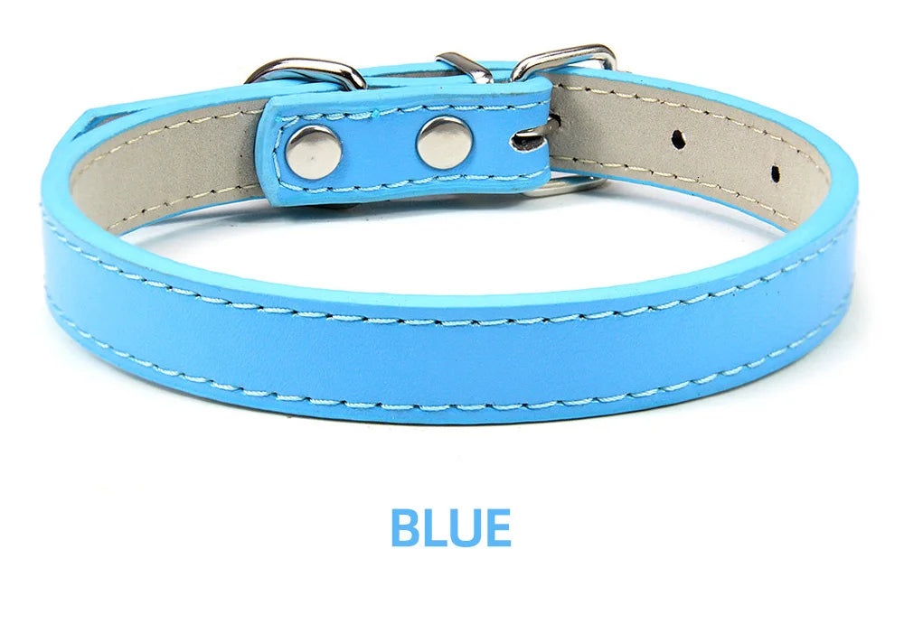 Hundhalsband