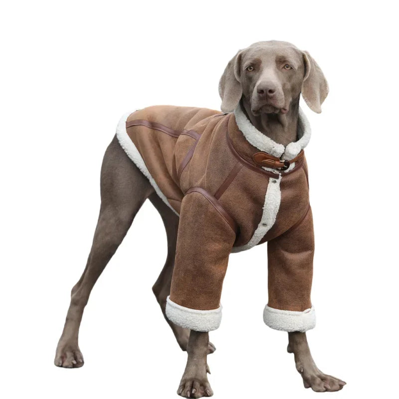 Varmfodrad hundjacka