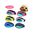 Goggles för hund