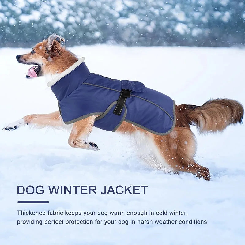 Vintertäcke för hund