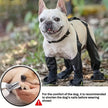 Regnskydd | Överdragsbyxor | Skor för hund