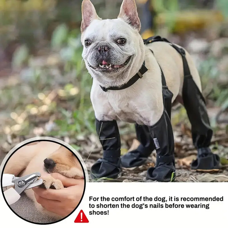 Regnskydd | Överdragsbyxor | Skor för hund