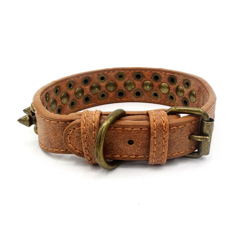 Hundhalsband med nitar