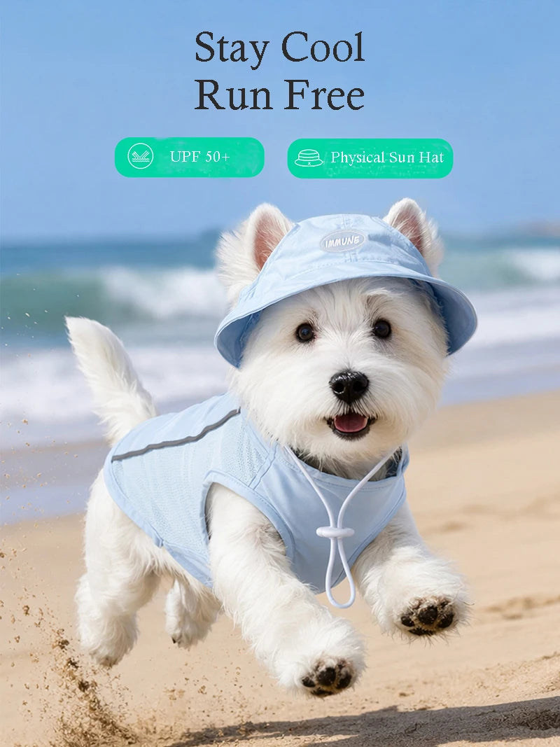 Svalkande set för hund