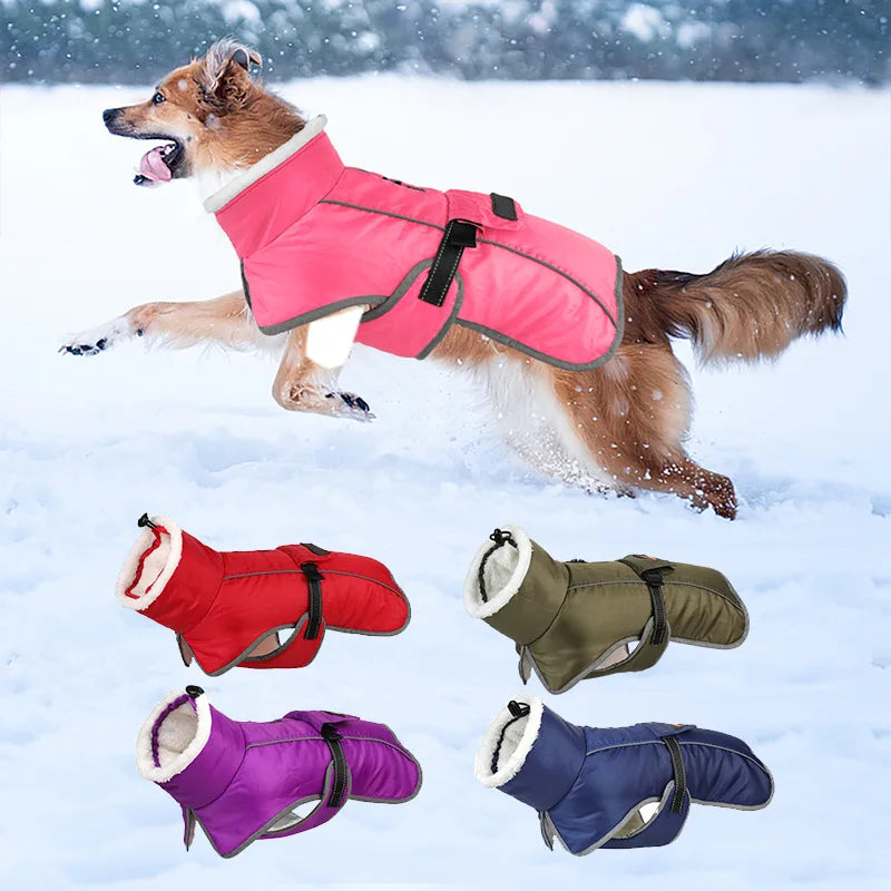 Vintertäcke för hund