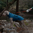 Vattentät hundjacka