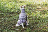 Tracksuit onesie för hund